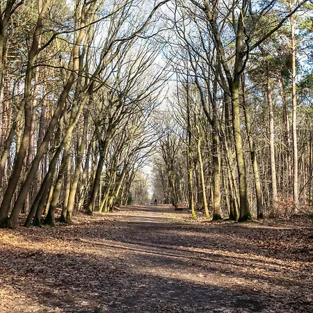 Ons Rodenboom
